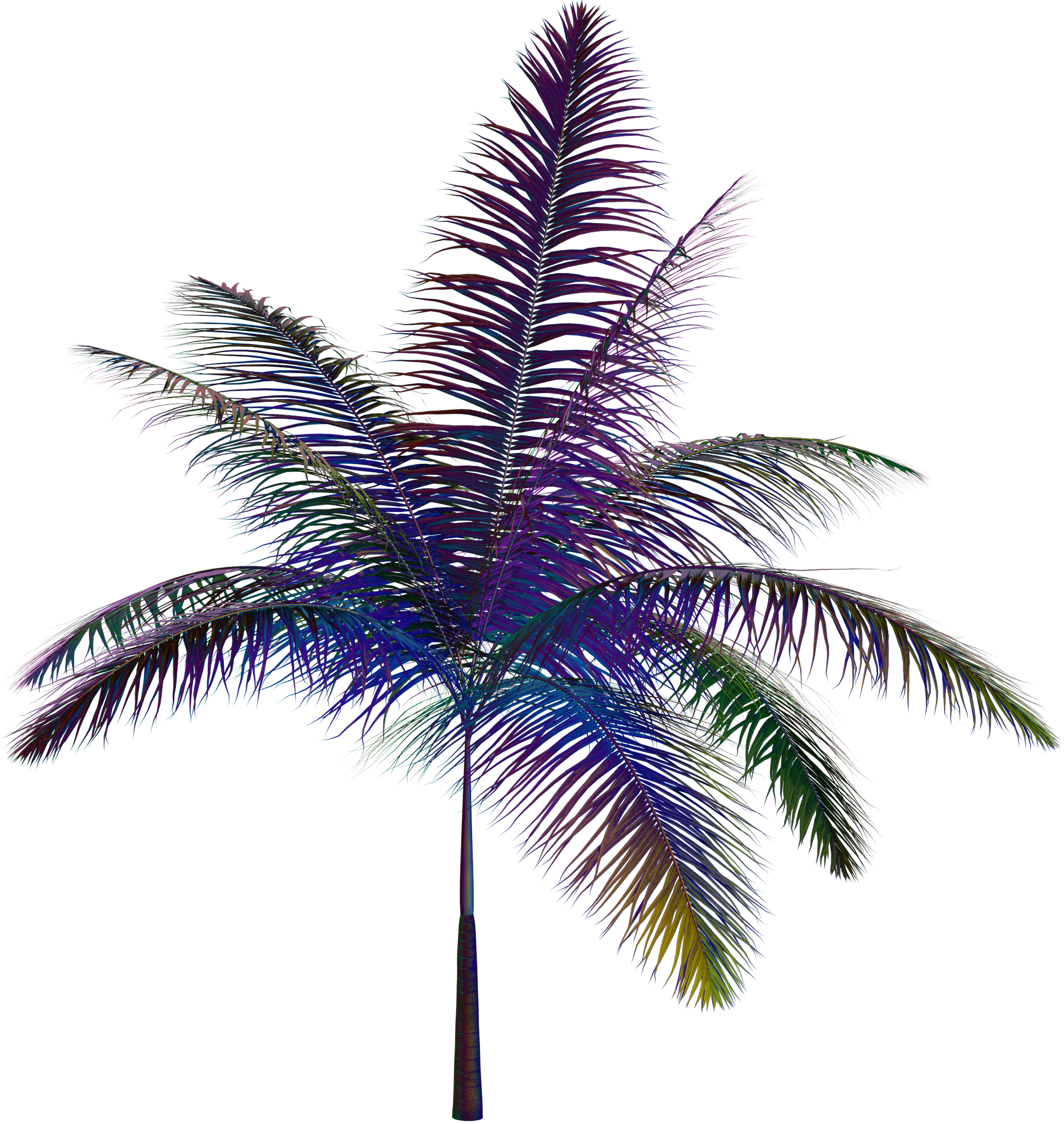 네온 식물 이미지1