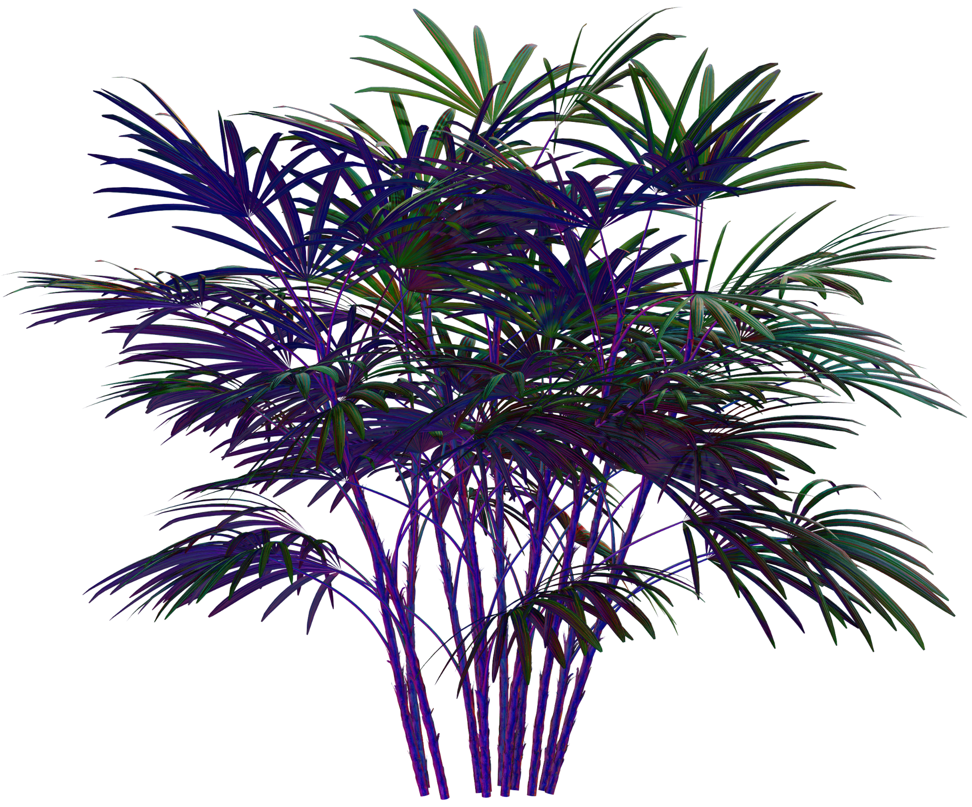 네온 식물 이미지3